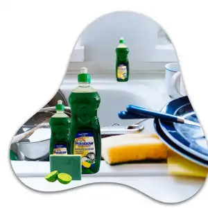 Dishwashing Liquid Item